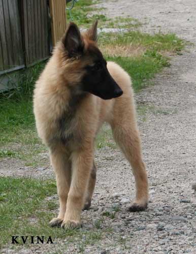14 weeks