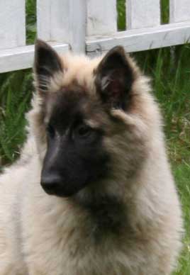 4 months