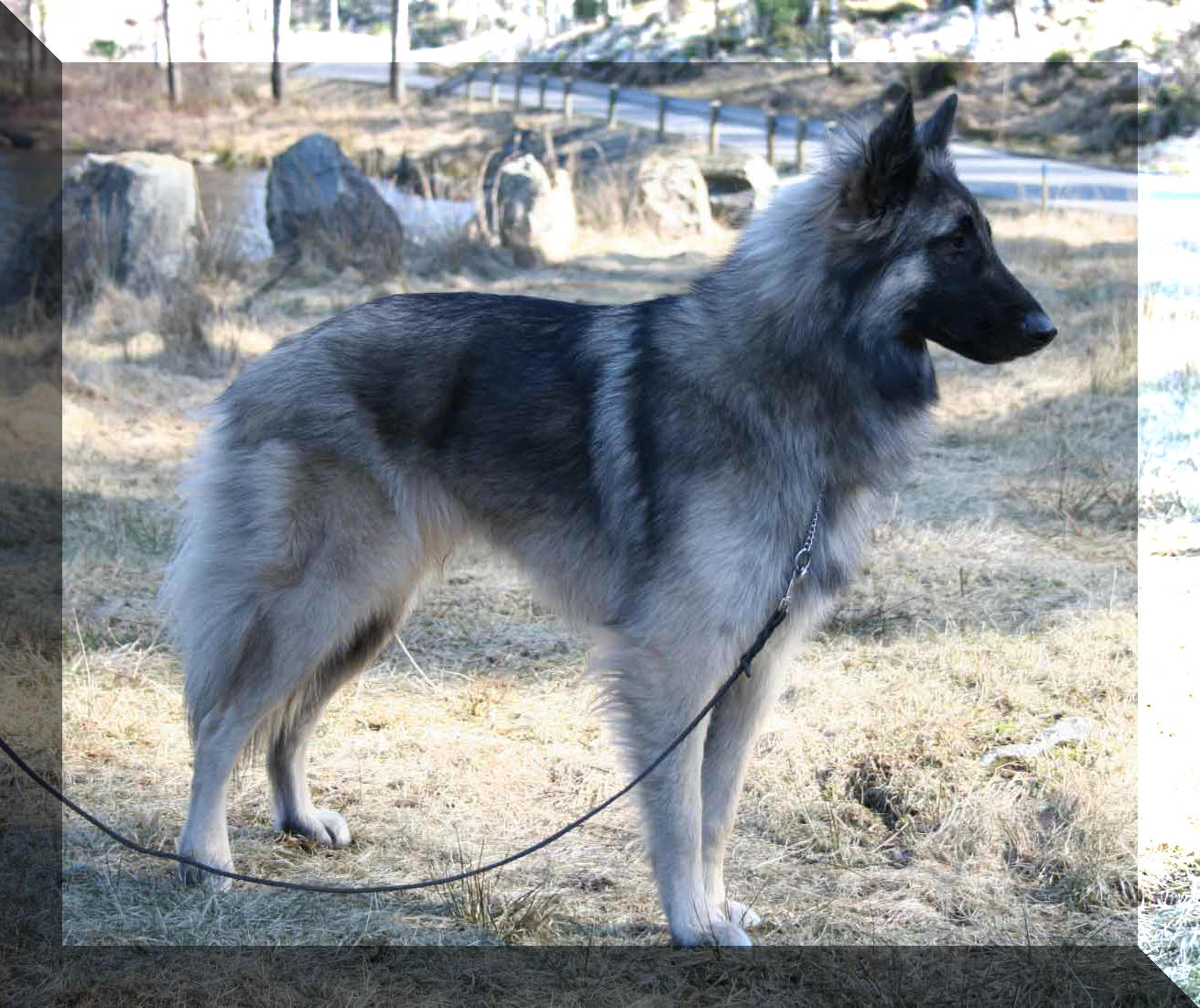 14 months