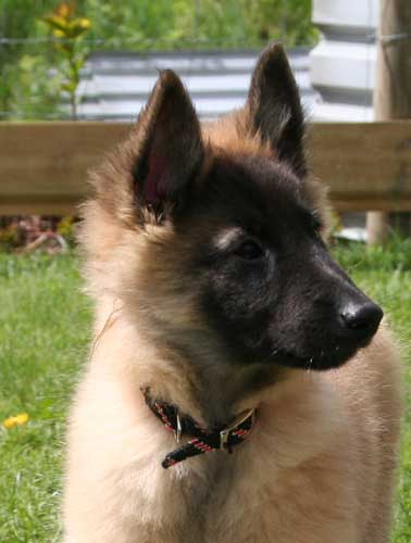 10 weeks